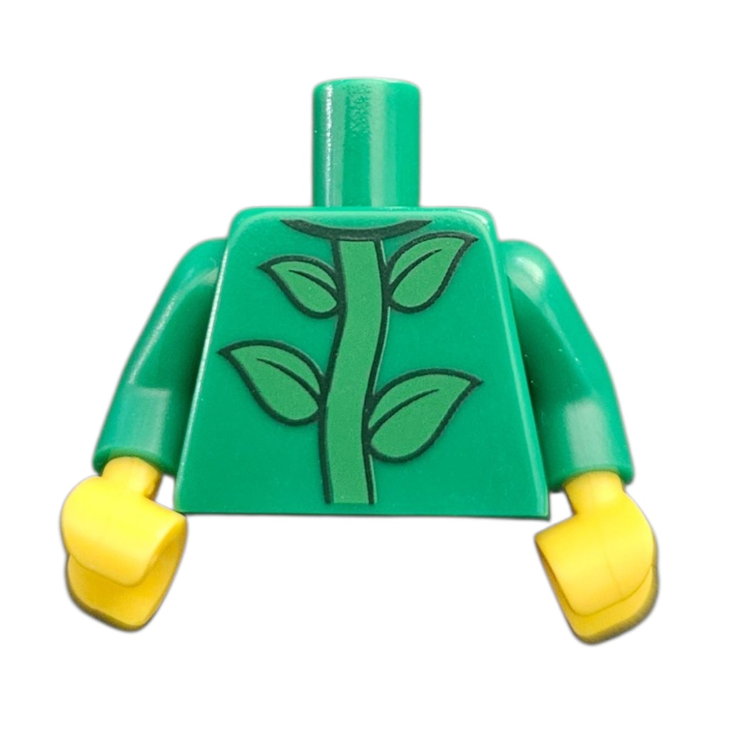 Leaves torso
