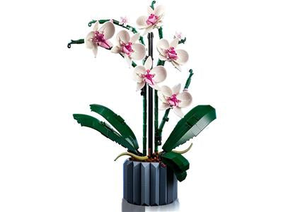 10311 Icons Botanical Orchid